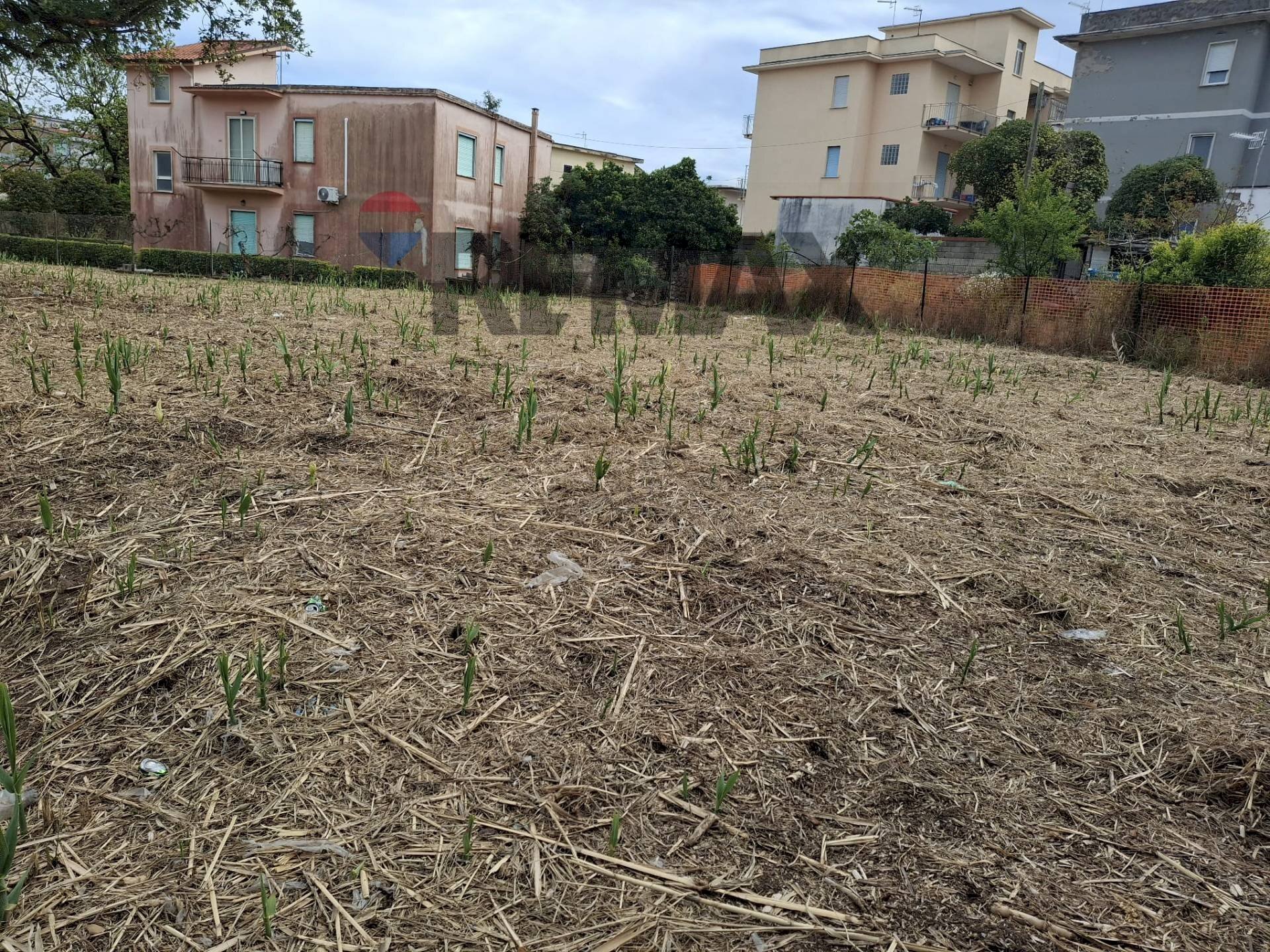 Giardino - Terreno agricolo Minturno - foto 3