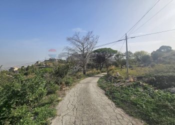 Giardino - Terreno edificabile Contrada Cozzo Di Castro
snc, Altofonte - foto 13