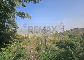 Non correlato - Terreno edificabile Contrada Cozzo Di Castro
snc, Altofonte - foto 18