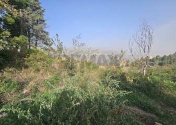 Non correlato - Terreno edificabile Contrada Cozzo Di Castro
snc, Altofonte - foto 19