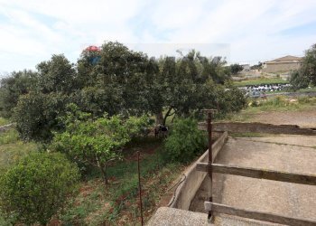 Giardino - Rustic C.da Zinnafondo, Ragusa - photo 25