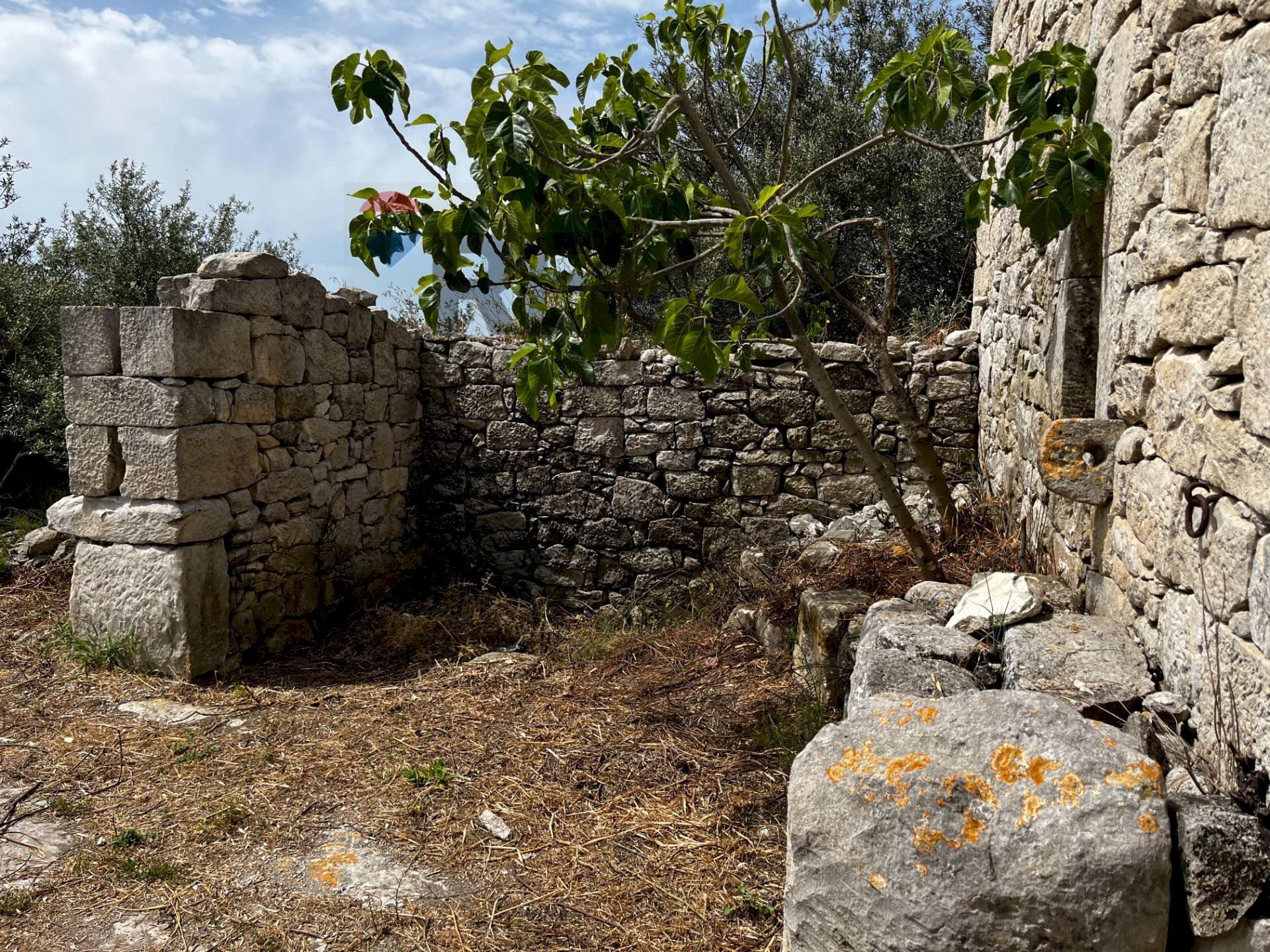 Giardino - Rustic via della Fontana
 
snc, Ragusa - photo 3