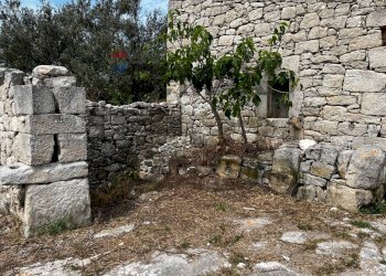 Giardino - Rustic via della Fontana
 
snc, Ragusa - photo 4