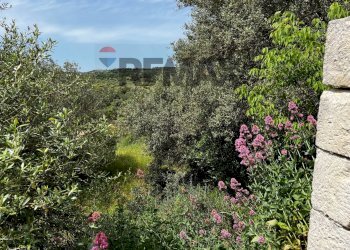 Giardino - Rustic via della Fontana
 
snc, Ragusa - photo 11