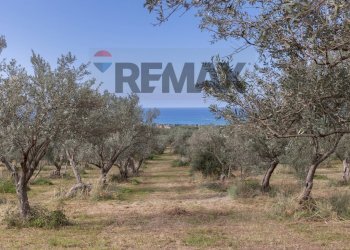 Vista delle montagne - Farm Via san Pietro, Torrenova - photo 8