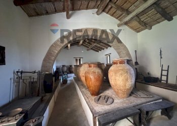 Dettagli - Farm Via san Pietro, Torrenova - photo 12