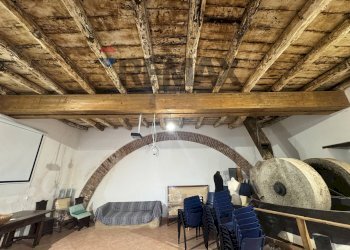 Cantina - Farm Via san Pietro, Torrenova - photo 19