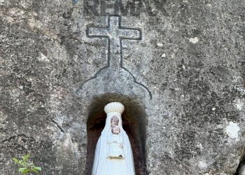 Dettagli - Farm Via san Pietro, Torrenova - photo 20