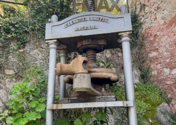 Giardino - Farm Via san Pietro, Torrenova - photo 21