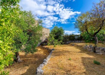 Giardino - Villa Via Salita Lucarelli
 
65, Crispiano - photo 12
