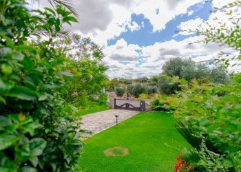 Giardino - Villa Contrada Pentimi
 
275, Locorotondo - foto 39