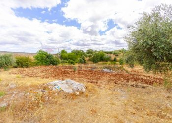 Giardino - Villa Contrada Pentimi
 
275, Locorotondo - foto 45