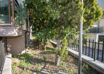 Giardino - Casa indipendente VIALE MATRINO
 
222, Città Sant'Angelo - foto 52