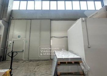 Foto 3 - Magazzino via Scirocco, Viareggio - foto 3