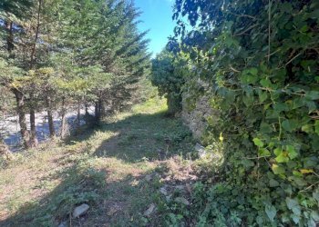 Terreno - Villa via Costa di Cantalupo, Genova - foto 7
