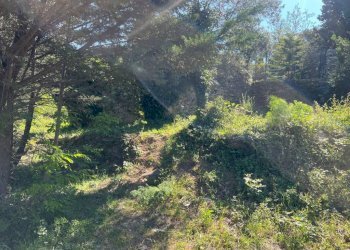 Terreno - Villa via Costa di Cantalupo, Genova - foto 9