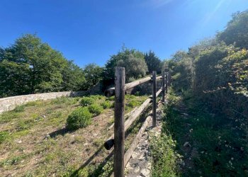 Terreno - Villa via Costa di Cantalupo, Genova - foto 12