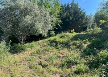 Terreno - Villa via Costa di Cantalupo, Genova - foto 16
