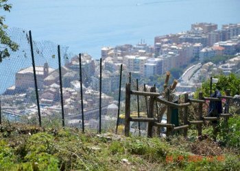 Terreno - Villa via Costa di Cantalupo, Genova - foto 7