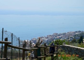 Vista - Villa via Costa di Cantalupo, Genova - foto 8