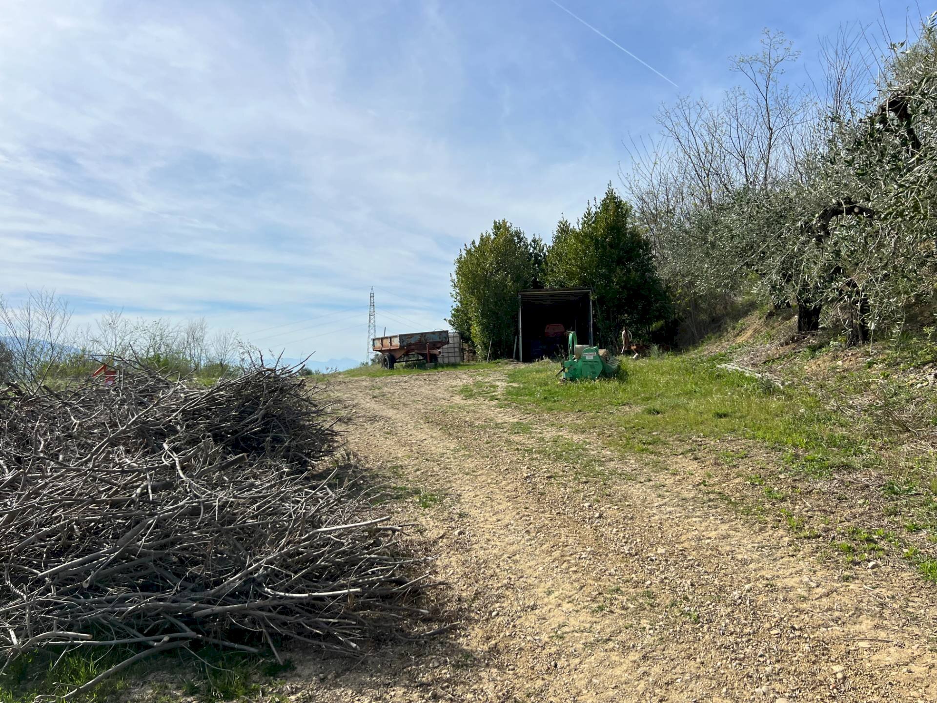 Foto 1 - Terreno agricolo VIA DELL'ACQUEDOTTO
 
SNC, Tortoreto - foto 1