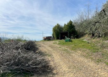 Foto 1 - Terreno agricolo VIA DELL'ACQUEDOTTO
SNC, Tortoreto - foto 1