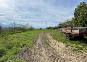 Foto 4 - Terreno agricolo VIA DELL'ACQUEDOTTO
SNC, Tortoreto - foto 4