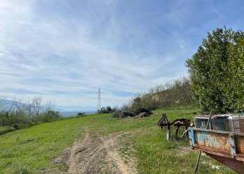 Foto 5 - Terreno agricolo VIA DELL'ACQUEDOTTO
SNC, Tortoreto - foto 5