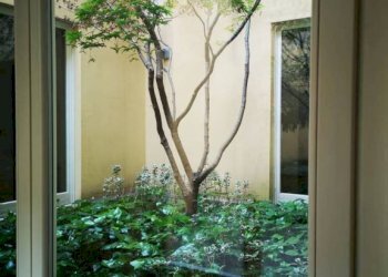 Giardino - Appartamento corso Vittorio Alfieri, 231, Asti - foto 6