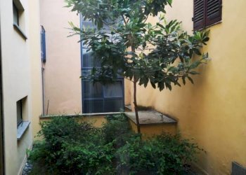 Giardino - Appartamento corso Vittorio Alfieri, 231, Asti - foto 9