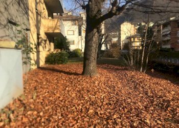 Giardino - Appartamento via Aldo Moro, 26A, Sondrio - foto 4