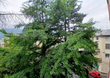 Vista - Three-room apartment via 4 Novembre, 12, Sondrio - photo 9