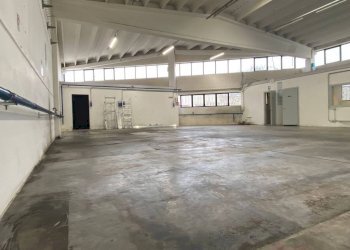 Interno non residenziale - Warehouse via dell'Industria, 23, Quinto di Treviso - photo 3