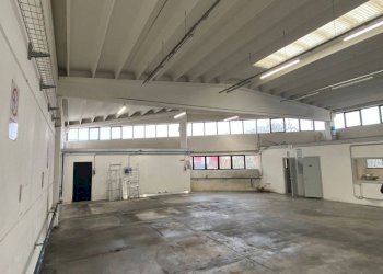 Interno non residenziale - Warehouse via dell'Industria, 23, Quinto di Treviso - photo 4