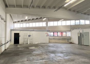 Interno non residenziale - Warehouse via dell'Industria, 23, Quinto di Treviso - photo 5