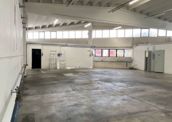 Interno non residenziale - Warehouse via dell'Industria, 23, Quinto di Treviso - photo 6