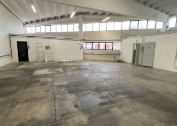 Interno non residenziale - Warehouse via dell'Industria, 23, Quinto di Treviso - photo 9