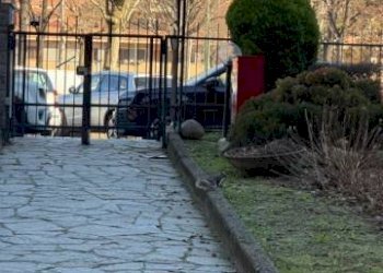 Zona - Appartamento corso Gaetano Salvemini, 45, Torino (zona Mirafiori Nord) - foto 1
