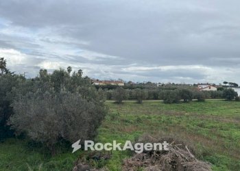 Terreno - Villa via del Tronco, Aprilia - foto 12