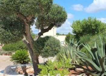 Zona - Agriturismo Provincia di Lecce, Italia, Galatina - foto 10
