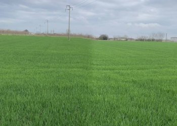 Terreno - Building land via Grazia Deledda, Canneto sull'Oglio - photo 1