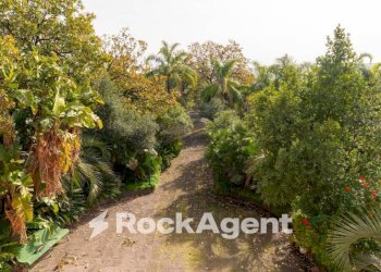 Terreno - Rustic strada 34, Giarre - photo 32