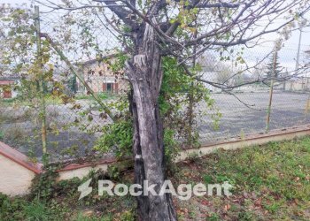 Terreno - Villa via G. D'Annunzio, 4, Catignano - photo 14