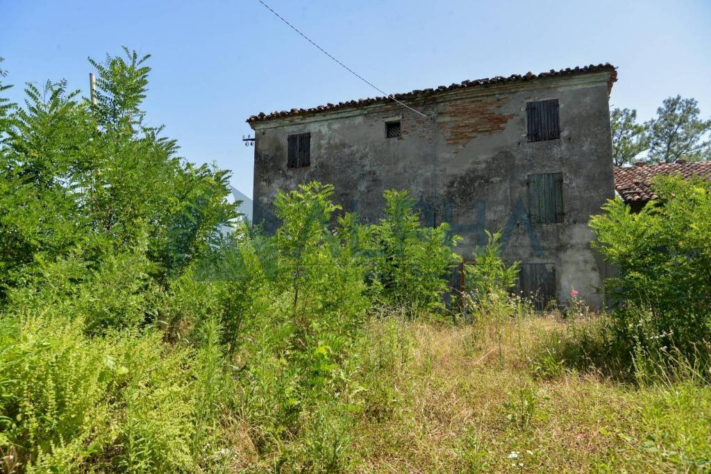 Terreno - Rustico via Tessello, Cesena - foto 1