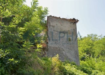Terreno - Rustico via Tessello, Cesena - foto 6