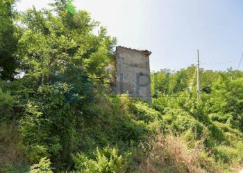 Terreno - Rustico via Tessello, Cesena - foto 7