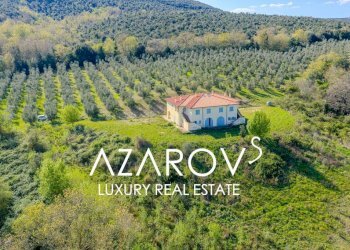 Terreno - Villa via Roma, Manciano - foto 25