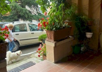 Trilocale Borgo Tossignano - foto 2