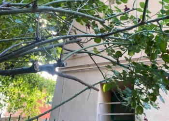 Trilocale Borgo Tossignano - foto 21