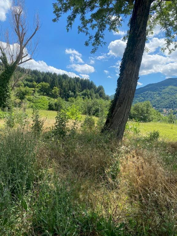 Agricultural land Castel del Rio - photo 2